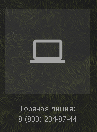 Как связаться с поддержкой в БК Олимп?